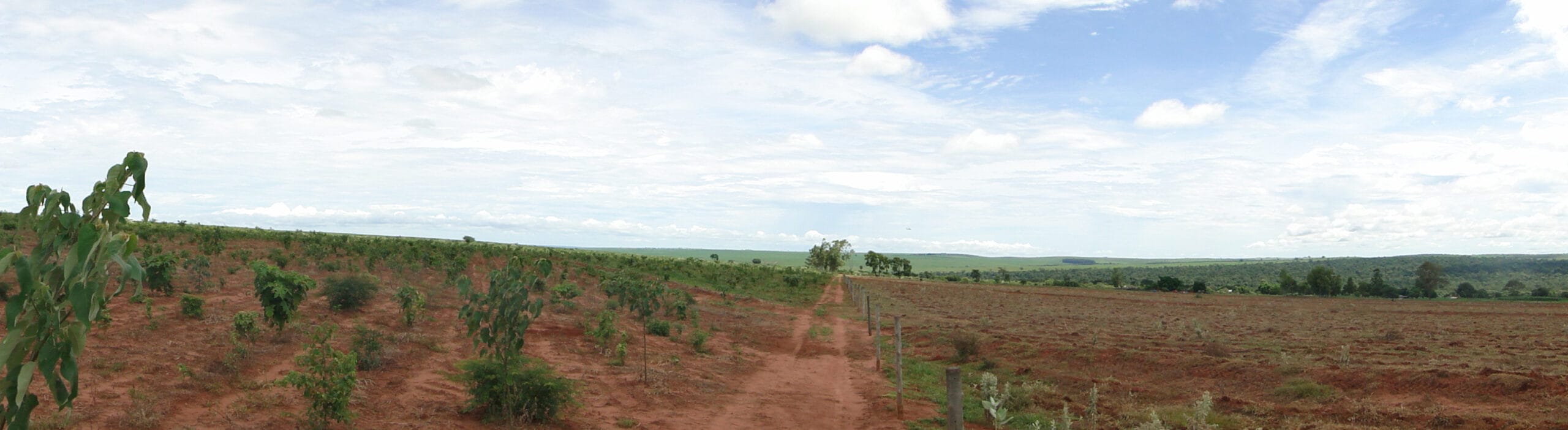 Pontal_Estrela_Aug2023_