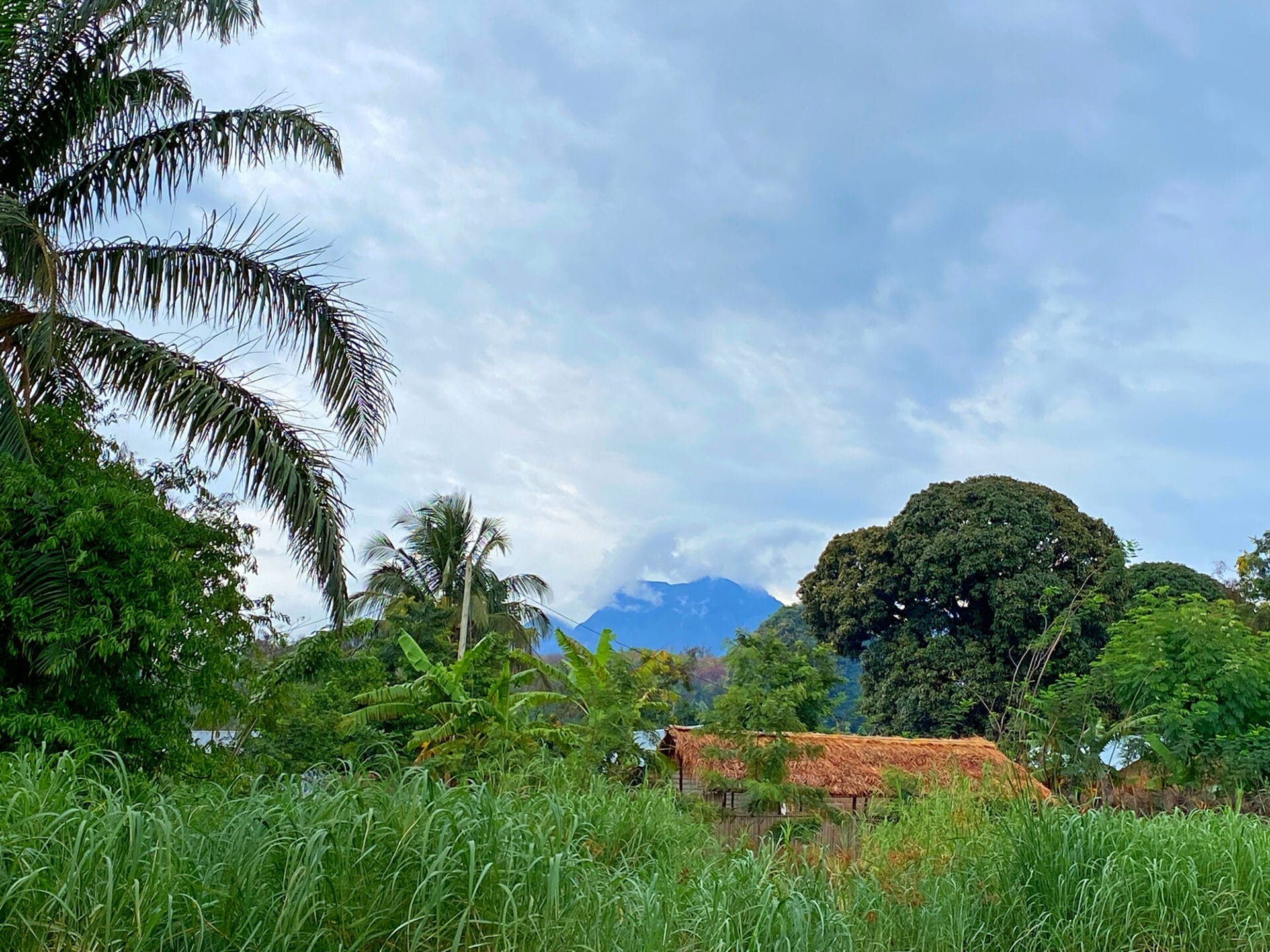 Mahale Mountains - WeForest