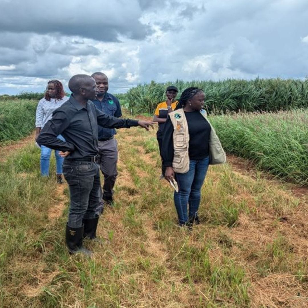 GART employee sharing with the COP team on the nutritive value of different grass species grown at their demo site