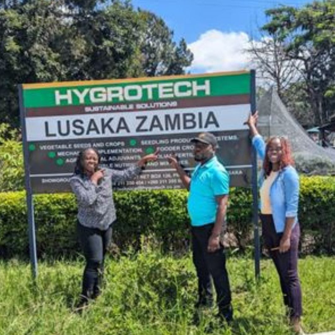 From the left; Copperbelt project manager (Leah Banda), agroforestry specialist (Bwalya Silwamba) and agricultural extension officer (Carmen Malupande) on the right  at Hygrotech Service centre, the supplier of forage seed