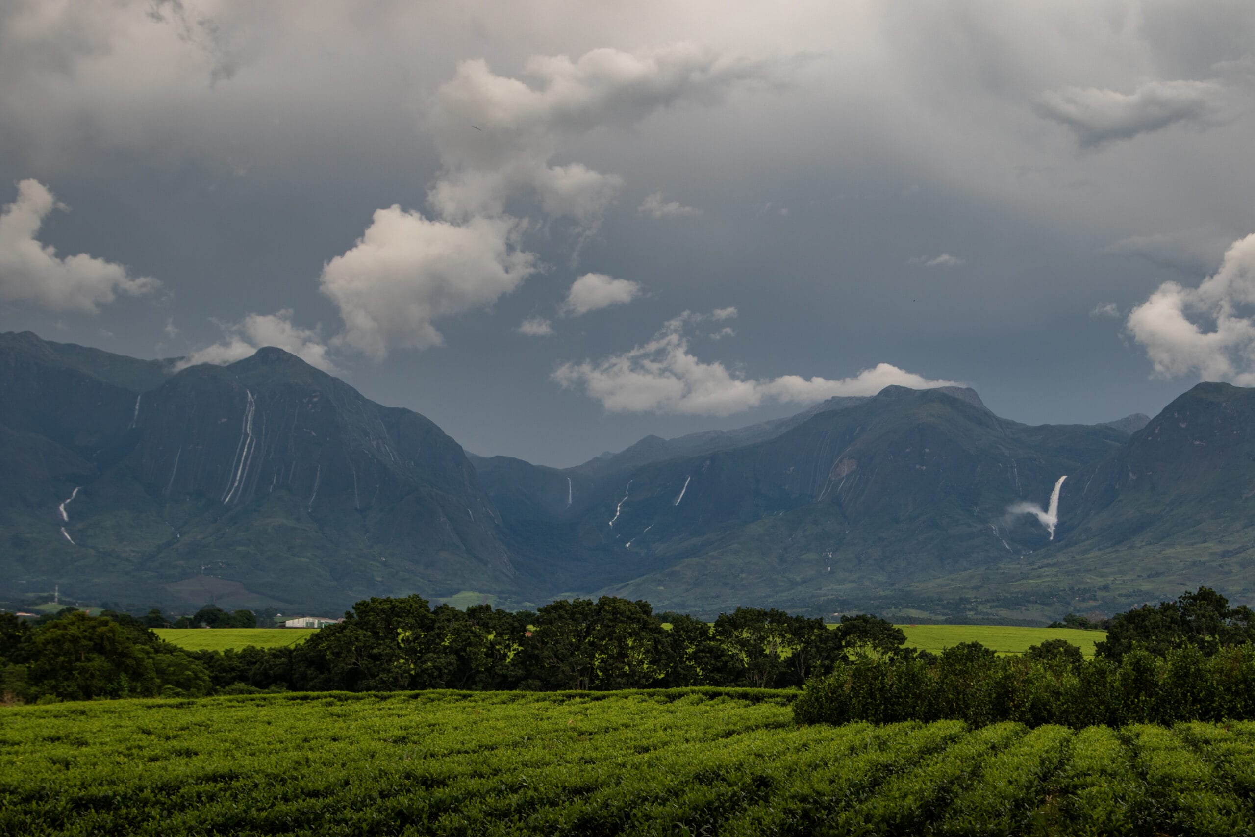 Mount Mulanje landscape