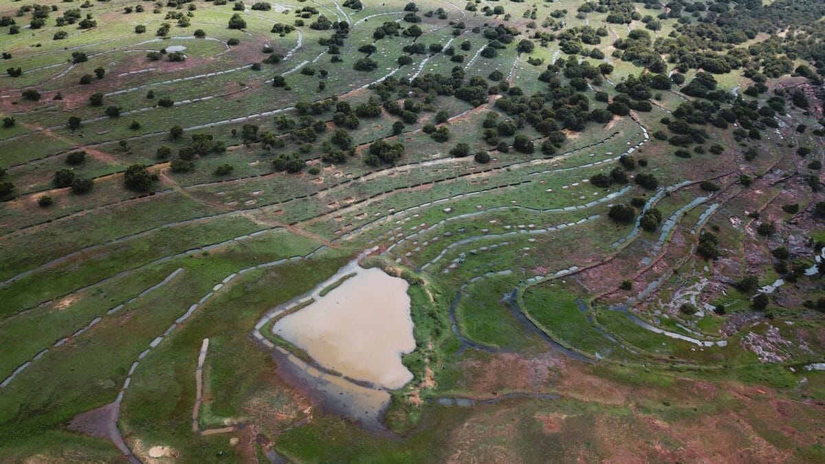 Aerial view of water retention techniques transforming the landscape in Desa'a, Ethiopia..