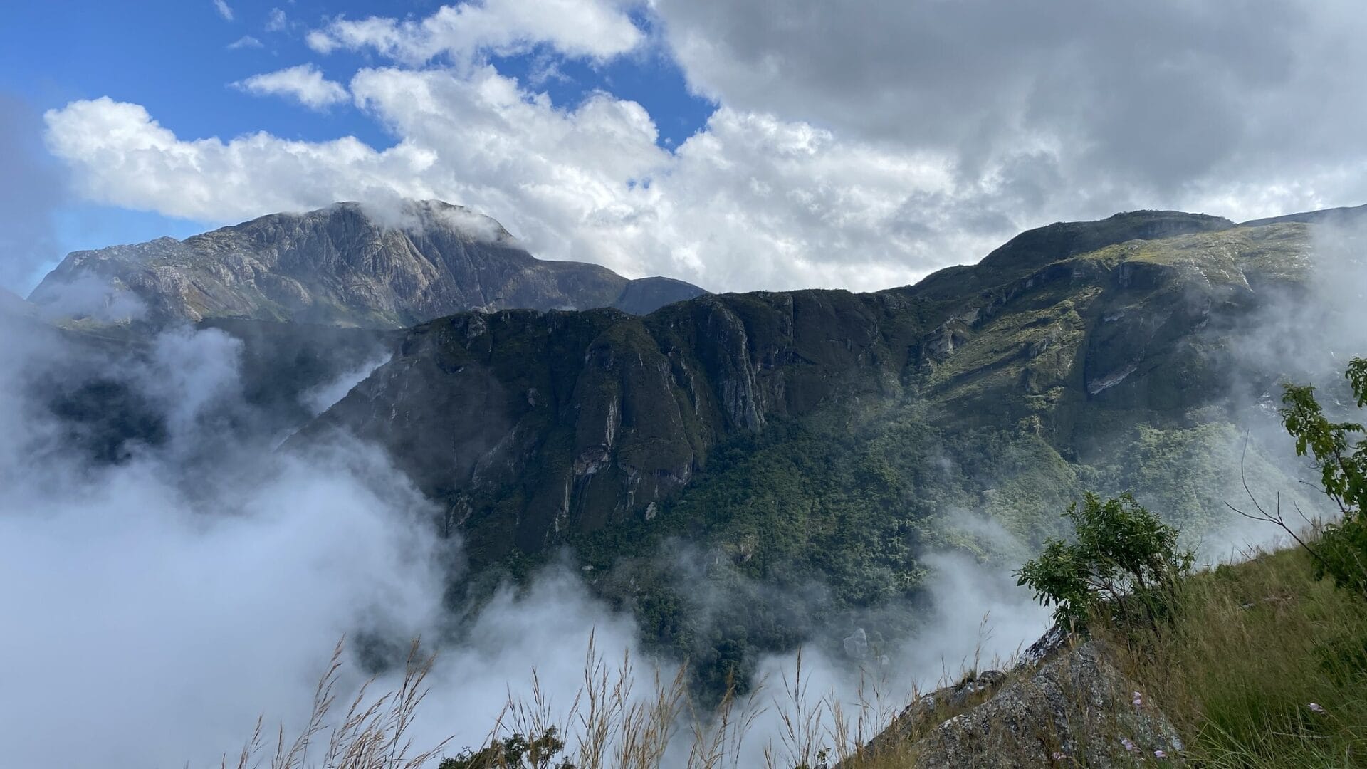 Guardians of the sacred mountain: A community's fight to save Malawi's Mulanje cedar