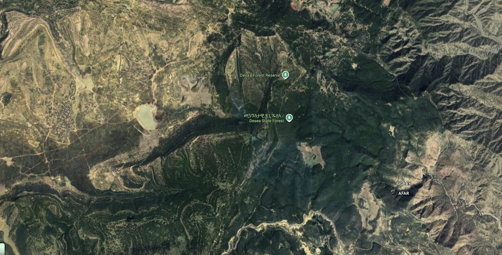 Desa'a Forest reserve satellite view