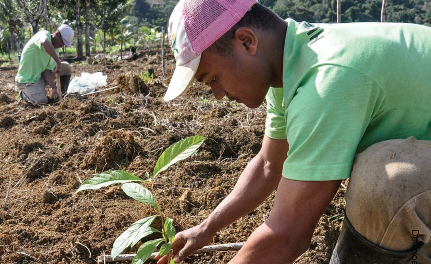 Trees not simple solution